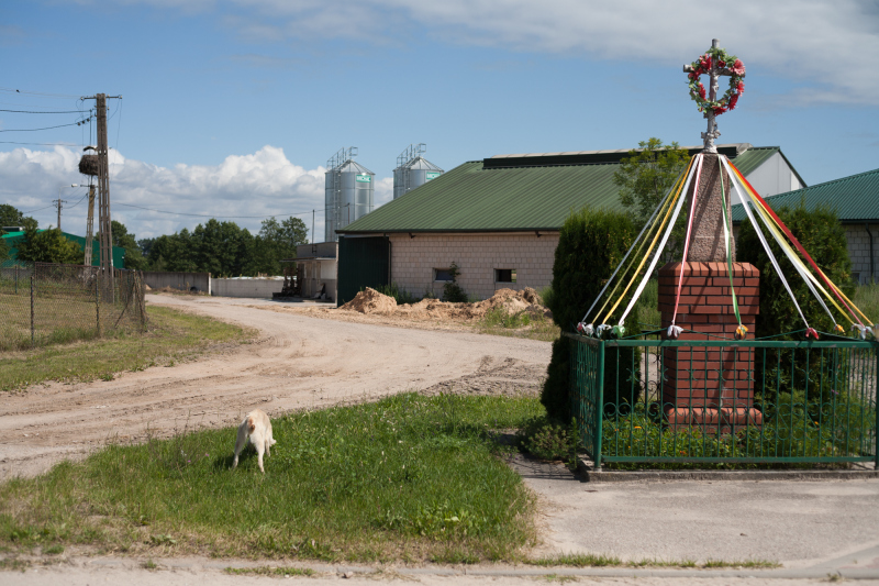 piesek pod krzyżem