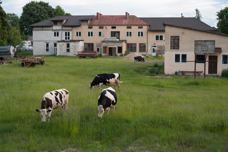 widok z sauną